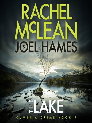 cover image of The Lake
